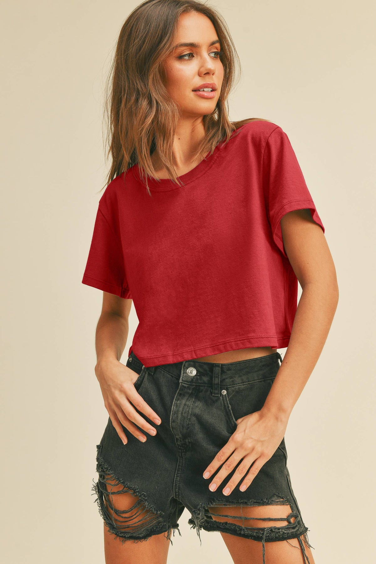 TSTW1003WS Premium Garment Washed Blank Boxy Crop Tee