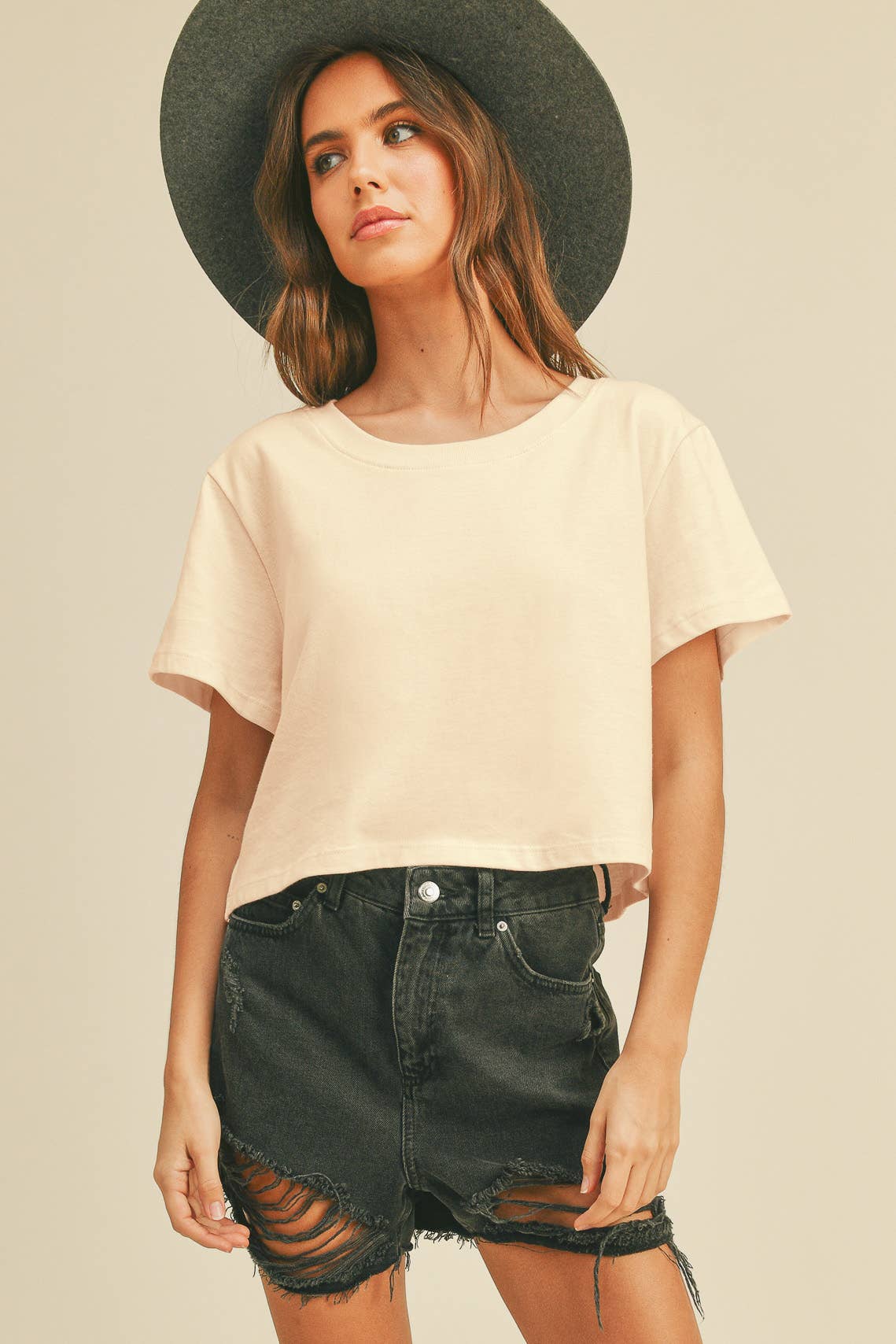 TSTW1003WS Premium Garment Washed Blank Boxy Crop Tee