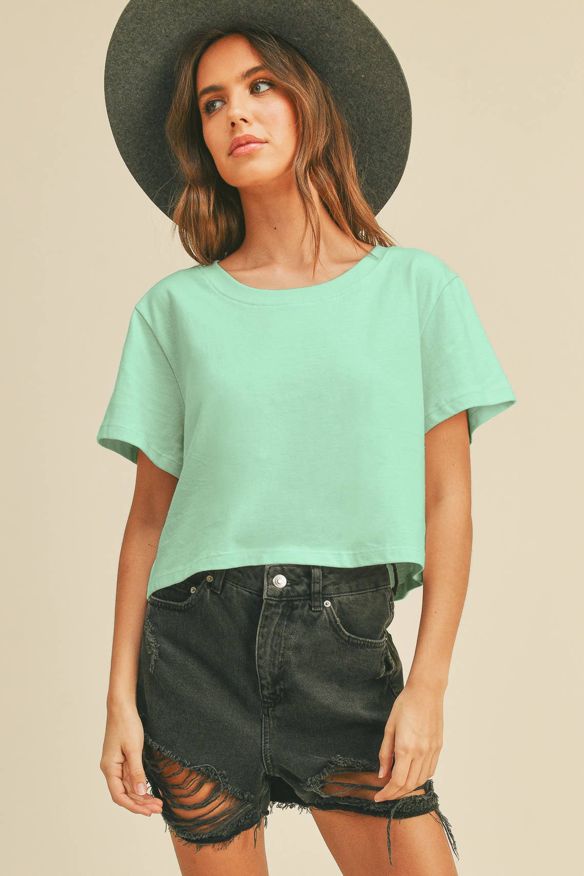 TSTW1003WS Premium Garment Washed Blank Boxy Crop Tee