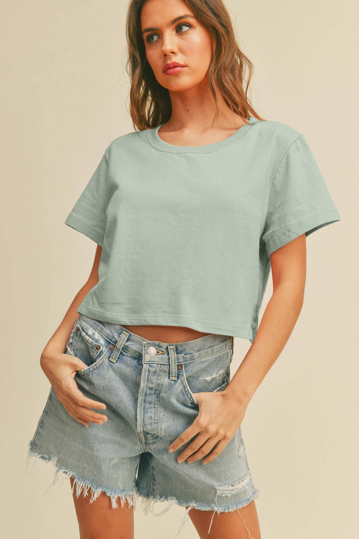 Blank Short Cropped T-Shirt